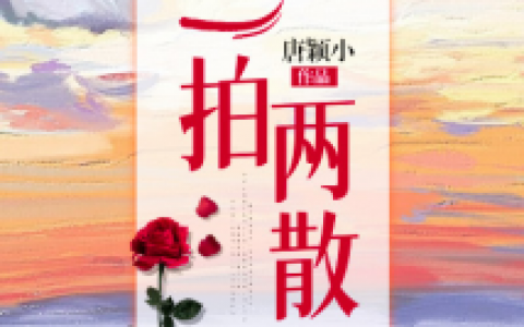 《一拍两散》陈念徐晏清陆予阔免费阅读全本小说